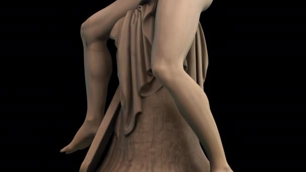 水星将杀死Argos 3D动画模型在一个黑色背景下原始3D模型许可证Cc0公共域 — 图库视频影像