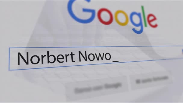 Usa Popularne Wyszukiwarki 2021 Google Search Engine Search Norbert Nowotny — Wideo stockowe