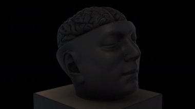 İntrakraniyal Beyin Yapısı -Beyin Kök- döndürme yakınlaştırması - siyah arkaplan üzerinde 3d animasyon modeli