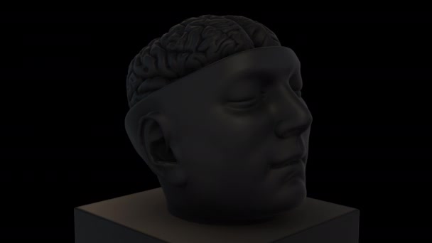 サイズ頭蓋内脳構造 ブレインストーム 回転ズームアウト 黒の背景に3Dアニメーションモデル — ストック動画