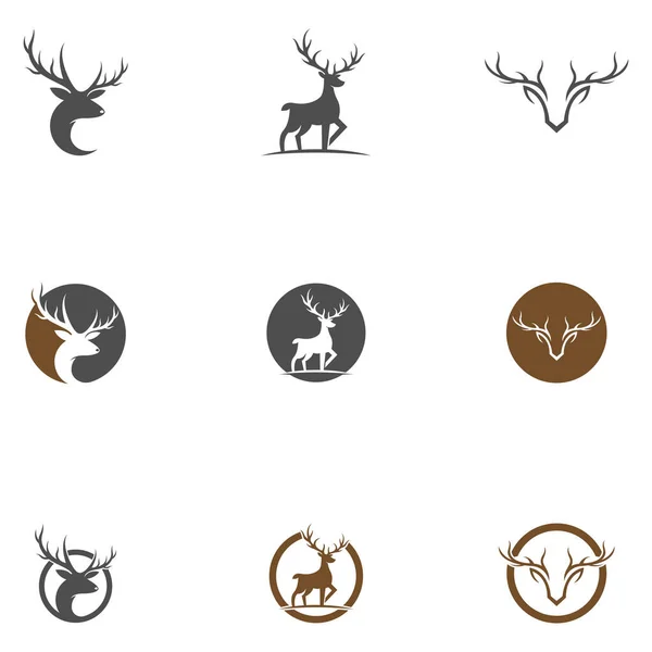 Deer Antler Illustration Logo Vector Template — Stock Vector