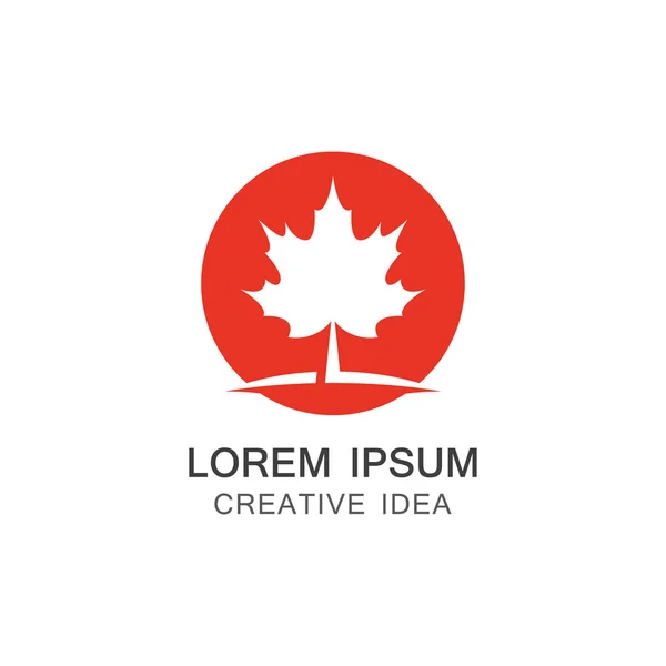 Kırmızı Akçaağaç yaprağı logosu illüstrasyonu.