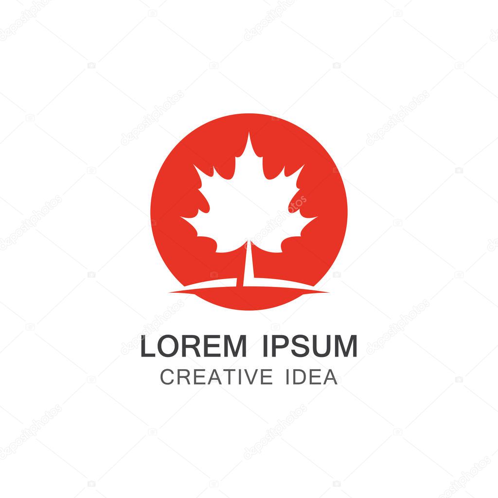 Red Maple leaf logo illustration.
