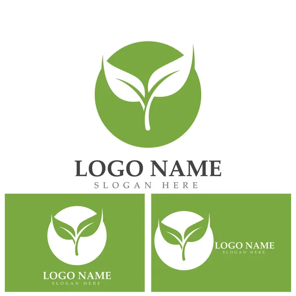 Green Leaf Ecology Nature Element Vector Logo — Stock Vector