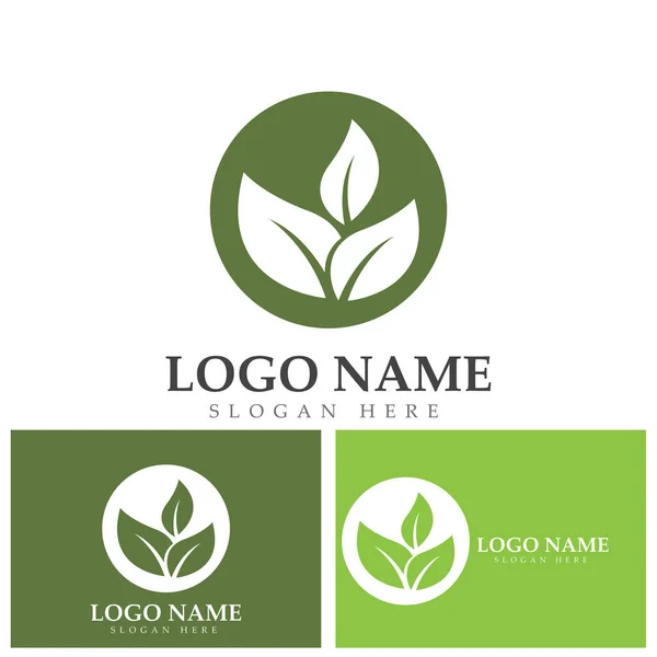 Green Leaf Ecology Nature Element Vector Logo — Stock Vector