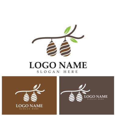 Koza logo şablonu vektör resimleme tasarımı