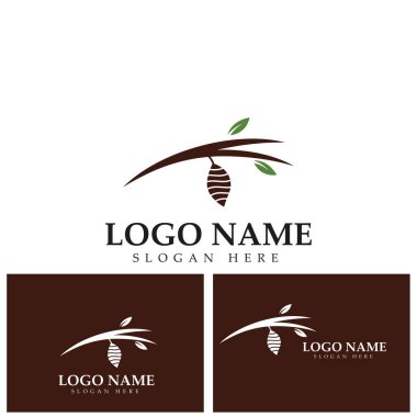 Koza logo şablonu vektör resimleme tasarımı