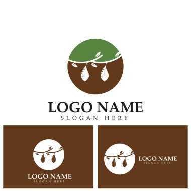 Koza logo şablonu vektör resimleme tasarımı