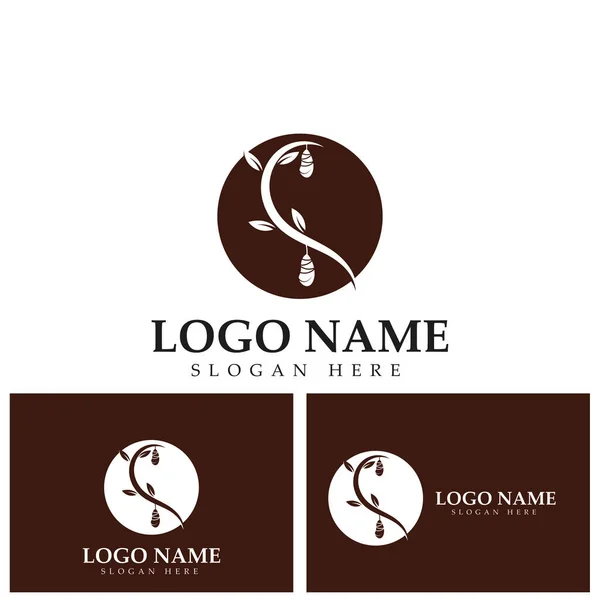 Cocoon Logo Vorlage Vektor Symbol Illustration Design — Stockvektor