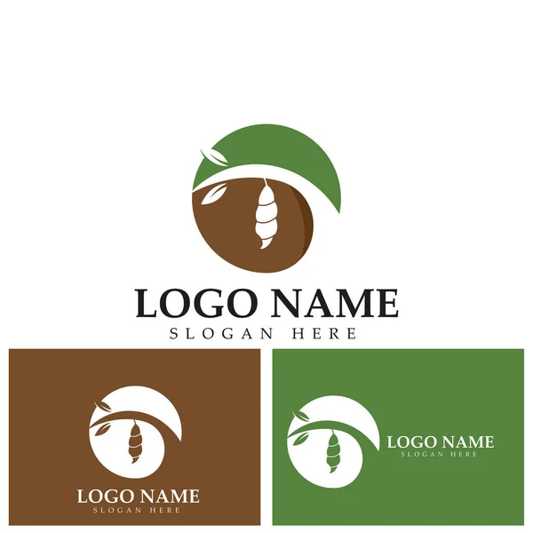 Cocoon Logotipo Modelo Vetor Ícone Ilustração Design — Vetor de Stock