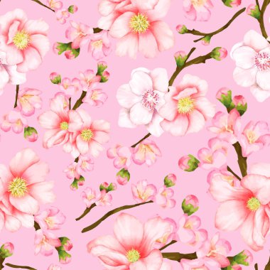 Güzel, pürüzsüz desenli kiraz çiçeği