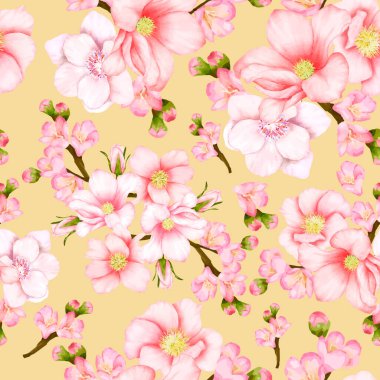 Güzel, pürüzsüz desenli kiraz çiçeği