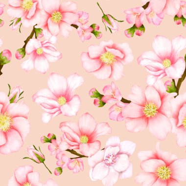 Güzel, pürüzsüz desenli kiraz çiçeği