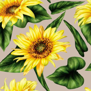 Kusursuz desen Güzel güneş çiçeği ve yapraklar