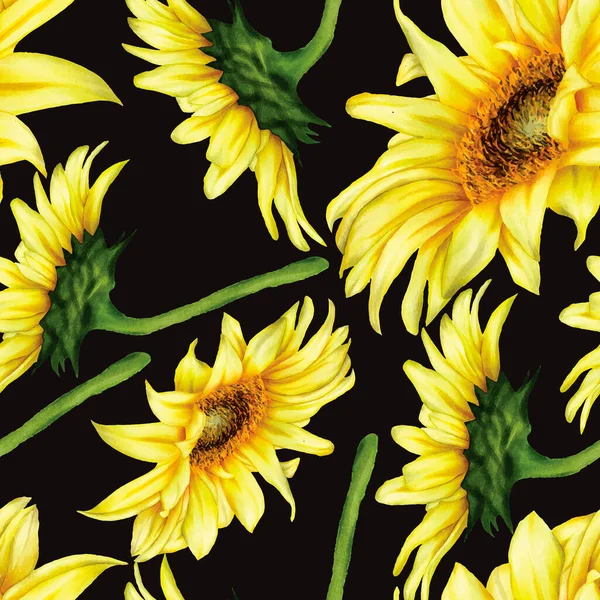 Pola Mulus Bunga Matahari Yang Indah Dan Daun - Stok Vektor