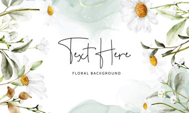 Güzel papatya çiçekli zarif çiçek arkaplan şablonu