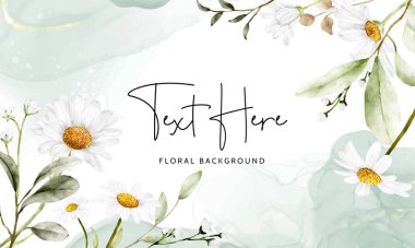 Güzel papatya çiçekli zarif çiçek arkaplan şablonu