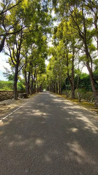 Route Solitaire Dans Endroit Touristique Avec Beaucoup Arbres — Photo