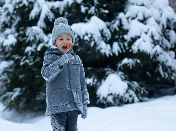 Malý Chlapec Šedém Kabátě Klobouku Stojí Pozadí Zasněženého Lesa Ruce — Stock fotografie