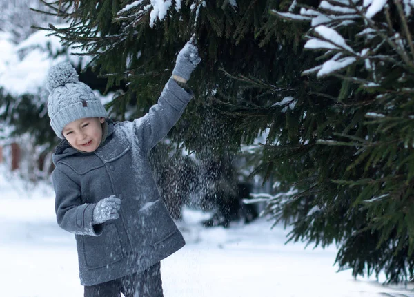 Bambino Con Cappotto Grigio Cappello Maglia Tocca Ramo Abete Rosso — Foto Stock