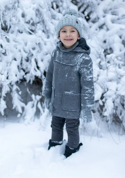 Malý Chlapec Šedém Kabátě Pleteném Klobouku Stojí Uprostřed Zasněženého Lesa — Stock fotografie