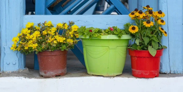 Vasi Fiori Strada Grecia — Foto Stock