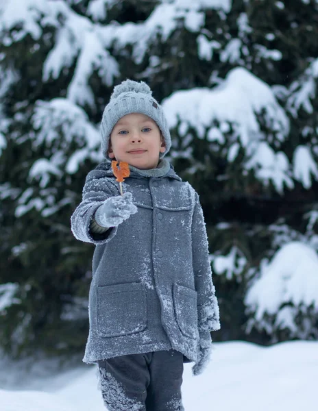 Malý Chlapec Kabátě Klobouku Stojí Pozadí Zasněženého Lesa Drží Lízátko — Stock fotografie