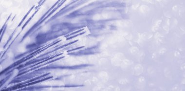 Çam dallı soyut bir arka plan, çok Peri yılının renginde sönük ışıklar. Uzayı kopyala Pankart