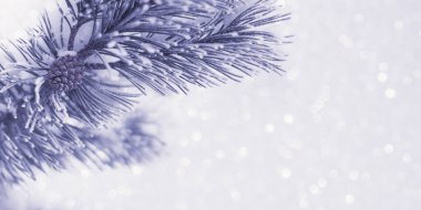 Çam dallı soyut bir arka plan, çok Peri yılının renginde sönük ışıklar. Uzayı kopyala Pankart