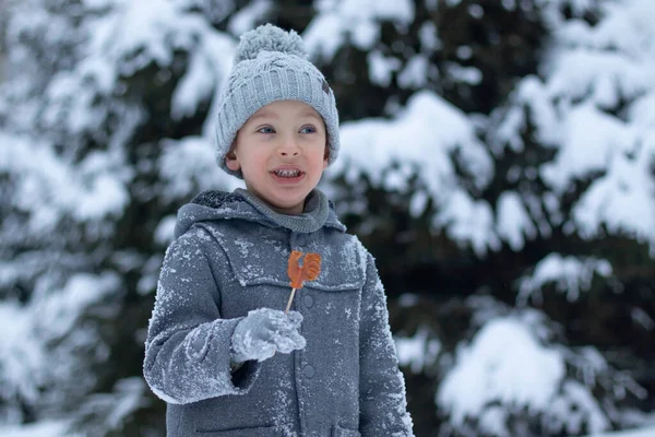 Un ragazzino con un cappotto grigio e un cappello a maglia tiene in mano un lecca-lecca al gallo — Foto Stock