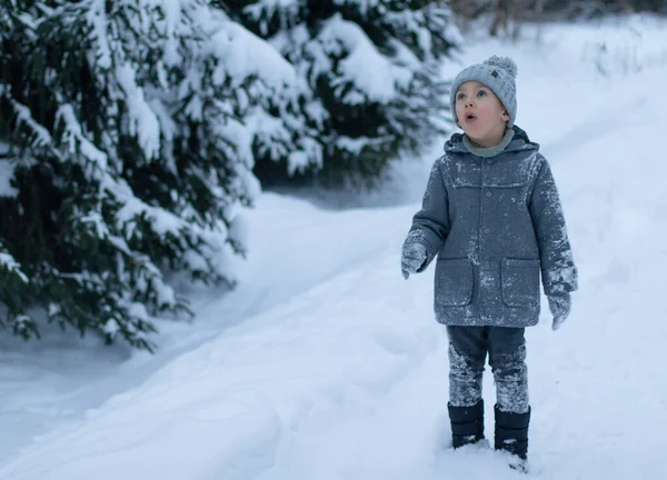 Un bambino con un cappotto grigio e un cappello a maglia si trova nel mezzo di una foresta innevata e alza lo sguardo a sorpresa — Foto Stock