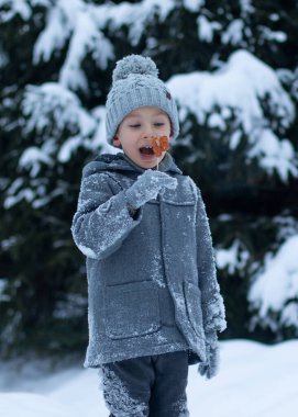 Paltolu ve şapkalı küçük bir çocuk karlı bir ormanın arka planında duruyor ve elinde bir lolipop tutuyor.. 