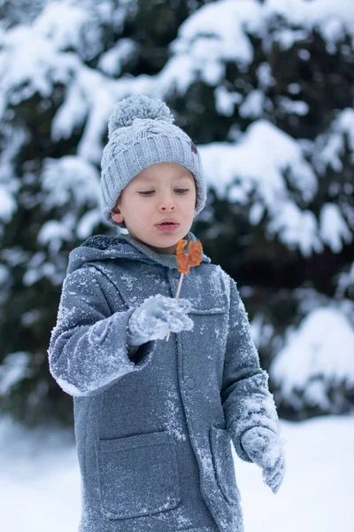 Un niño pequeño con un abrigo gris y un sombrero de punto sostiene una piruleta de gallo en su mano —  Fotos de Stock