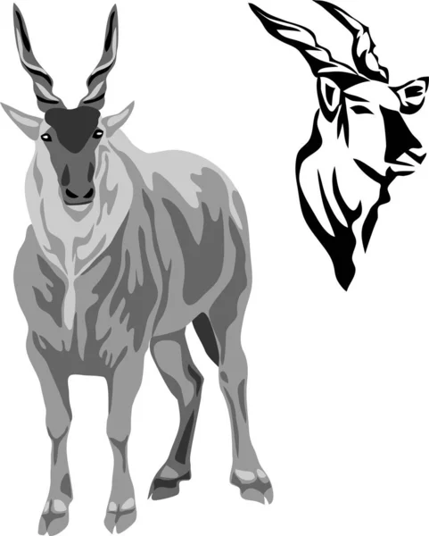 Eland Bull Ilustración Vectorial Escala Grises — Vector de stock