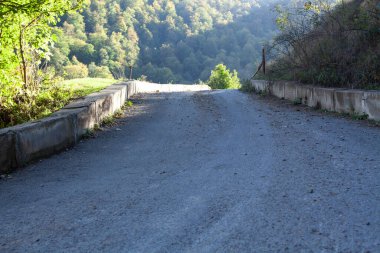Asfalt yol aşağı iniyor dağlık araziye Akşamleyin ormanda