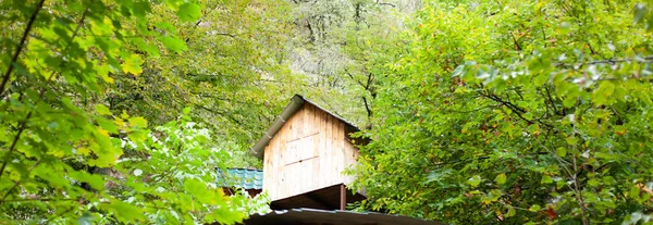 Houten Hut Het Bos Vroege Herfst — Stockfoto