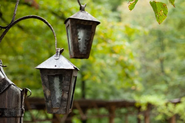 Vieja Linterna Vintage Bosque — Foto de Stock