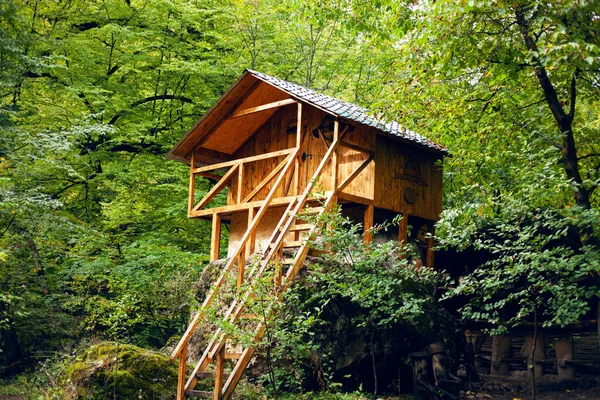 Cabaña Madera Bosque Principios Otoño — Foto de Stock