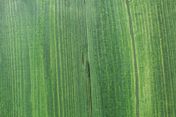 Planches Bois Peintes Vert Comme Fond — Photo