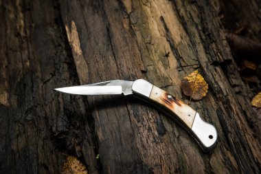 Eski kahverengi bir kütüğün üzerinde katlanan bıçak