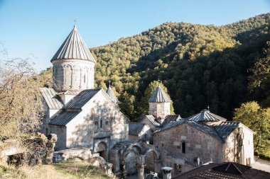 Ormandaki eski Haghartsin Kilisesi.