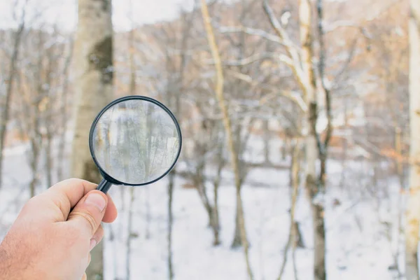 Mit Einer Lupe Auf Dem Hintergrund Des Winterwaldes — Stockfoto