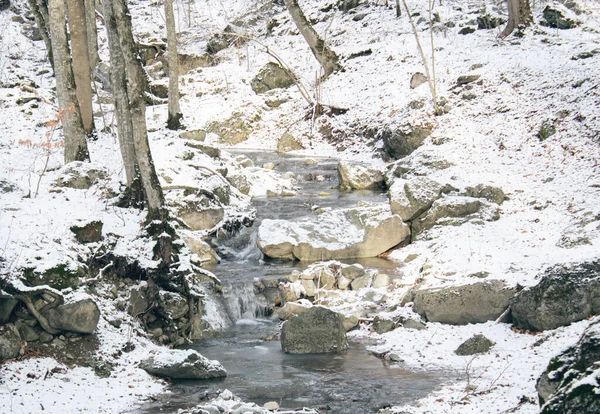 冬になると森の中を川が流れ — ストック写真