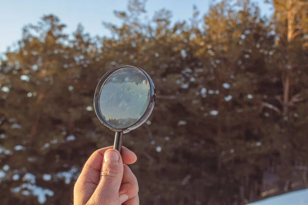 Holding Magnifying Glass Background Winter Forest — стоковое фото