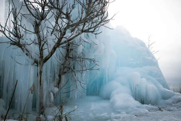 Gran Trozo Hielo Árbol Congelado —  Fotos de Stock