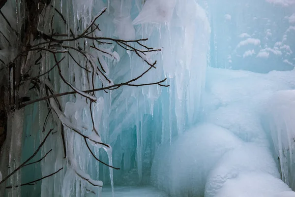 Ένα Μεγάλο Κομμάτι Πάγου Και Ένα Παγωμένο Δέντρο — Φωτογραφία Αρχείου
