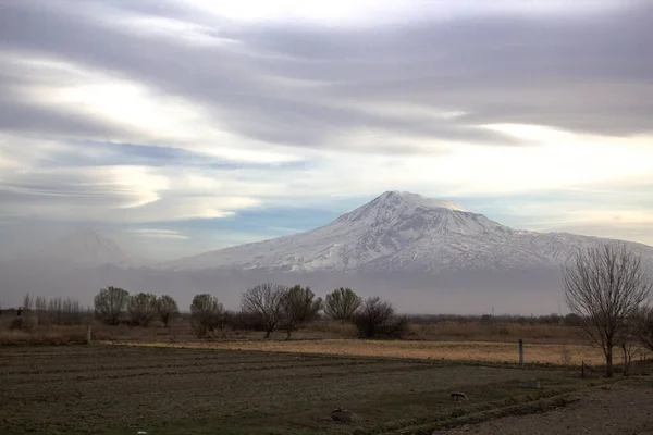 Akşamları Tarla Ararat Dağı — Stok fotoğraf