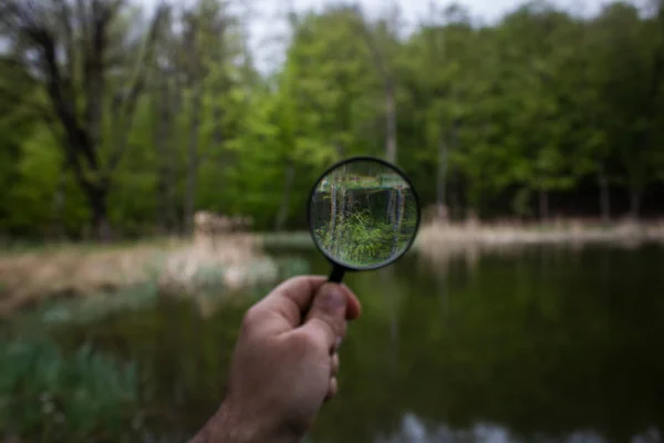 Magnifying Glass Background Lake Forest — Stock Photo, Image