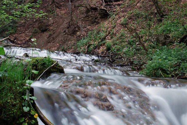 Small Waterfall Flows Forest — Stok fotoğraf