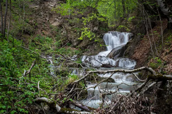 Small Waterfall Flows Forest — Photo